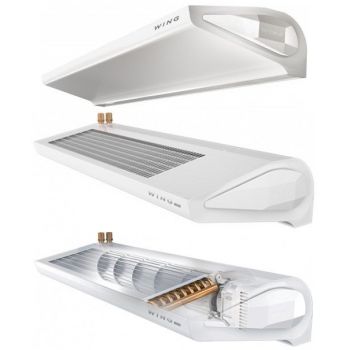 WING С100 (EC)